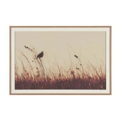16166 - Meadowlark Call Antique by Nathan Larson FramedPhoto   Matted under Glass