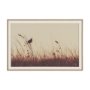 16166 - Meadowlark Call Antique by Nathan Larson FramedPhoto   Matted under Glass