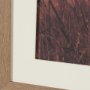 16166 - Meadowlark Call Antique by Nathan Larson FramedPhoto   Matted under Glass