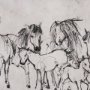 16172 - Pony Sketches II by Mercana Studio Hand-Embellished Framed Artwork Matted under Glass