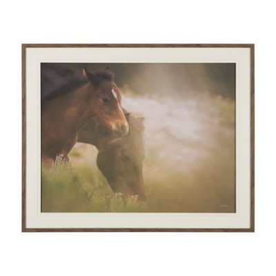 16179 - Magic by Chad Mackay FramedPhoto Print Matted under Glass