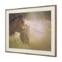 16179 - Magic by Chad Mackay FramedPhoto Print Matted under Glass