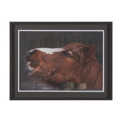 16180 - Hay over Here. by Chad Mackay FramedPhoto Print Matted under Glass