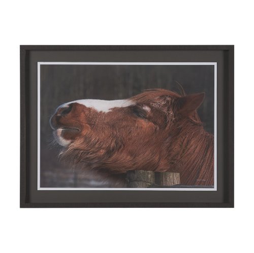 16180 - Hay over Here. by Chad Mackay FramedPhoto Print Matted under Glass