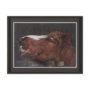 16180 - Hay over Here. by Chad Mackay FramedPhoto Print Matted under Glass