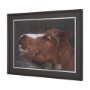 16180 - Hay over Here. by Chad Mackay FramedPhoto Print Matted under Glass