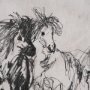 16181 - Pony Sketches II by Mercana Studio Hand-Embellished Framed Artwork Matted under Glass