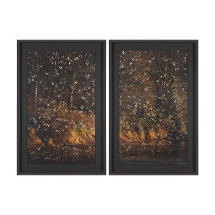 Gilded Flight by Chad Mackay Textured Framed Photo Print Matted under Glass (Set of 2)