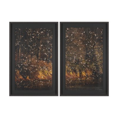 16190 - Gilded Flight by Chad Mackay Textured Framed Photo Print Matted under Glass (Set of 2)