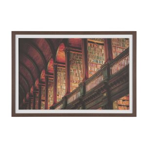 Trinity Library III by Nathan Larson FramedPhoto Print Matted under Glass