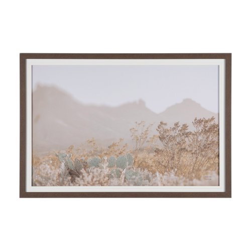 16206 - Big Bend National Park by Nathan Larson FramedPhoto Print Matted under Glass