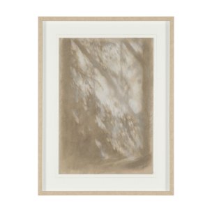 Passing Shadows I by Mercana Studio Framed Artwork Matted under Glass