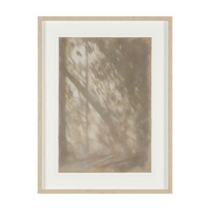 Passing Shadows II by Mercana Studio Framed Artwork Matted under Glass