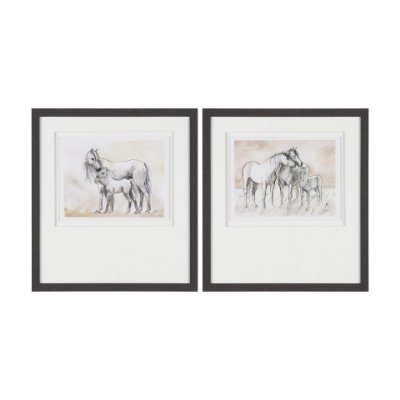 16185 - Elegant Beauties by Mercana Studio Framed Artwork Matted under Glass (Set of 2)