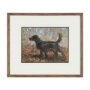 16223 - The Loyal Tracker II by Mercana Studio Textured Framed Artwork Matted under Glass