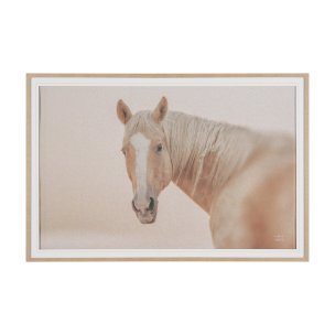 Looking Back by Nathan Larson FramedPhoto Print Matted under Glass