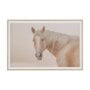 16248 - Looking Back by Nathan Larson FramedPhoto Print Matted under Glass