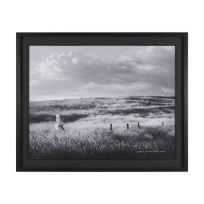 16249 - Fence Line Flight I by R. Christopher Vest Textured FramedPhoto Print Matted under Glass