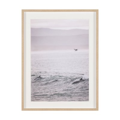 16258 - Ocean's Dance by Shot By Clint Framed Photo Print Matted under Glass