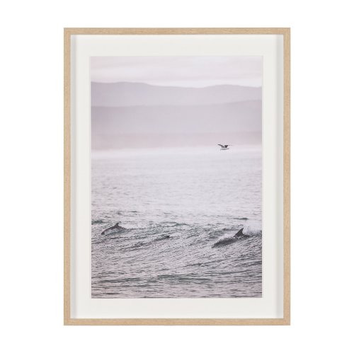 16258 - Ocean's Dance by Shot By Clint Framed Photo Print Matted under Glass