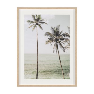 16260 - Oceanside Palms by Shot By Clint Framed Photo Print Matted under Glass
