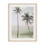 16260 - Oceanside Palms by Shot By Clint Framed Photo Print Matted under Glass