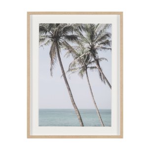 Ocean Breeze Palms by Shot By Clint Framed Photo Print Matted under Glass