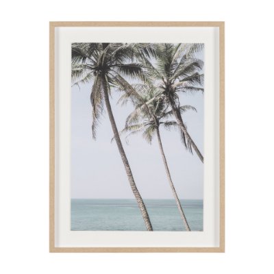 16261 - Ocean Breeze Palms by Shot By Clint Framed Photo Print Matted under Glass