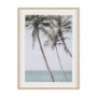 16261 - Ocean Breeze Palms by Shot By Clint Framed Photo Print Matted under Glass