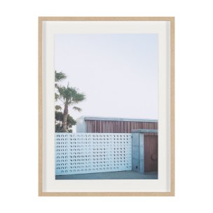 Modern Oasis View by Shot By Clint Framed Photo Print Matted under Glass