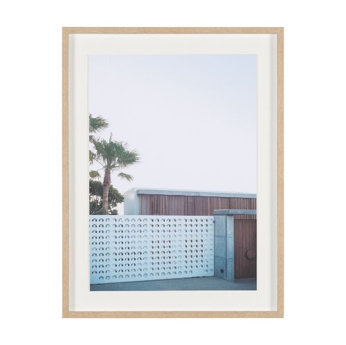 16263 - Modern Oasis View by Shot By Clint Framed Photo Print Matted under Glass