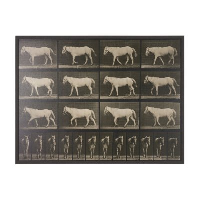 102795-FL - Walking Free by Eadweard Muybridge Textured Framed CanvasPhoto Print