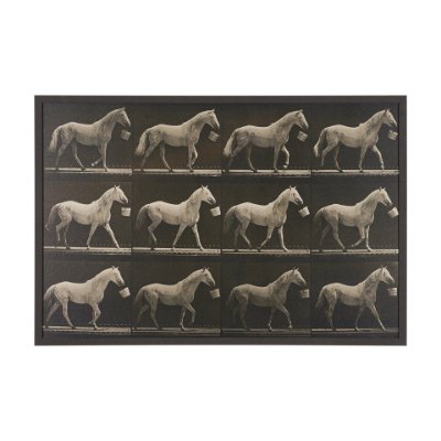 102796-FL - Walking Tall by Eadweard Muybridge Textured Framed CanvasPhoto Print