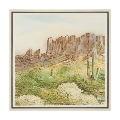 102809-FL - Cactus Country I by Mercana Studio Hand-Embellished Textured Framed Canvas Artwork
