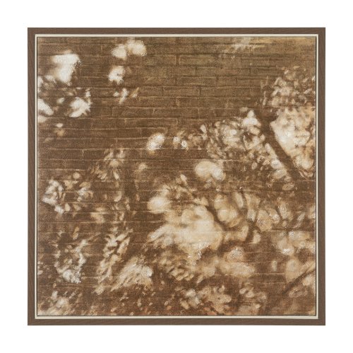 102813-FL - Wall of Shadows I by Mercana Studio Hand-Embellished Textured Framed Canvas Artwork