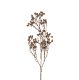 IN0144 - Dripping Dried Berry Branch