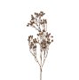 IN0144 - Dripping Dried Berry Branch