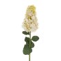 IN0381 - Hydrangea Paniculata Stem