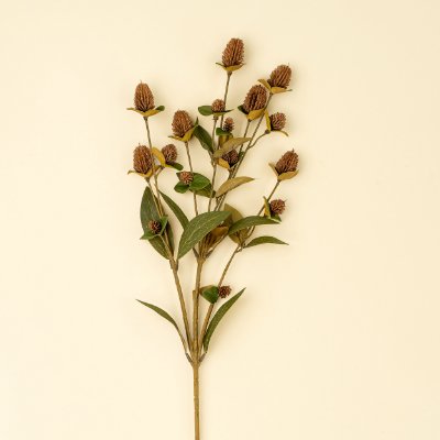 IN1621 - Globe Amaranth Spray