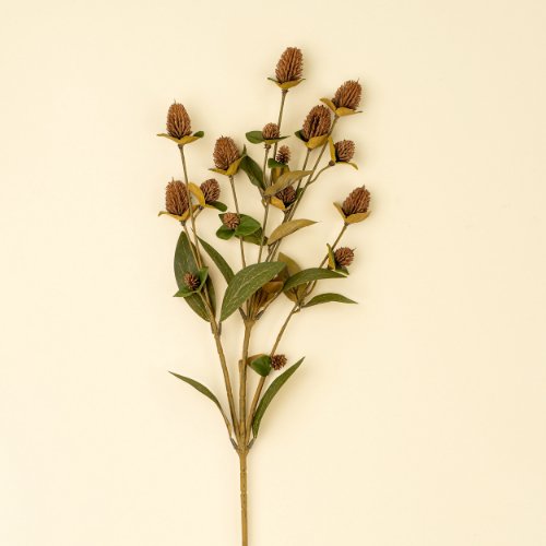 IN1621 - Globe Amaranth Spray