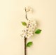 IN9496 - Pear Blossom Branch S