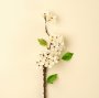 IN9496 - Pear Blossom Branch S