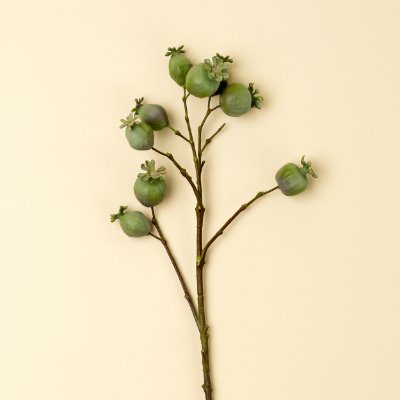 IN9501 - Poppy Pod Branch