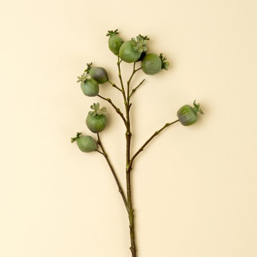 IN9501 - Poppy Pod Branch