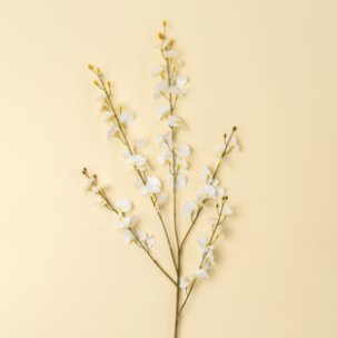 White Orchid Spray