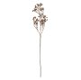 IN0144 - Dripping Dried Berry Branch
