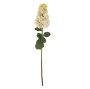 IN0381 - Hydrangea Paniculata Stem