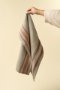 IN6579 - Lea Woven Stripe Tea Towels S/2