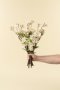 IN9496 - Pear Blossom Branch S