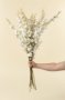 IN9514 - White Orchid Spray